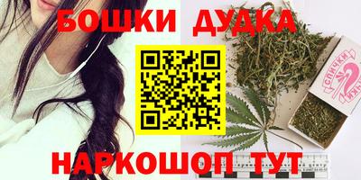 бошки Кингисепп