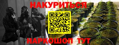 бошки Кингисепп