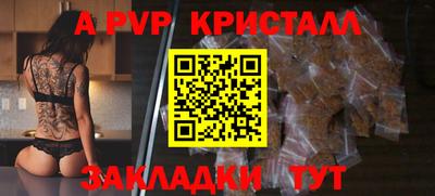 бошки Кингисепп
