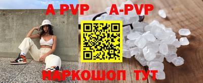 бошки Кингисепп