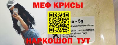 бошки Кингисепп