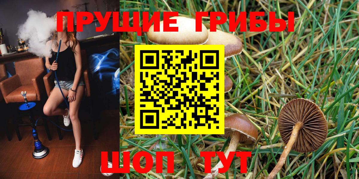 НБОМе Северск