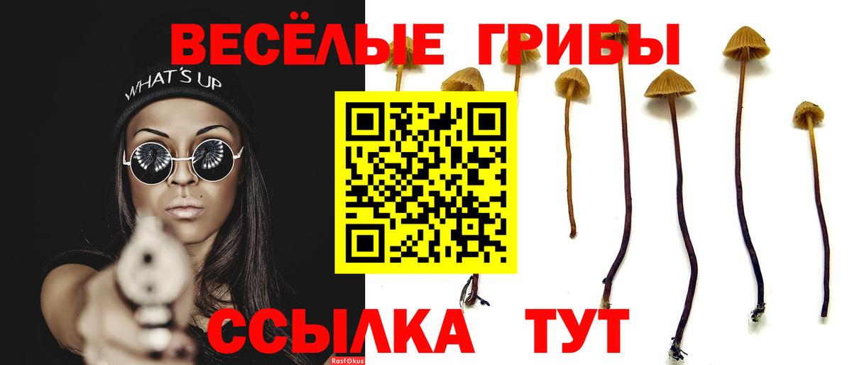 Псилоцибиновые грибы Psilocybine cubensis  Вход с VPN  наркота  Северск 